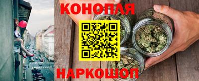 дмт Кингисепп