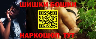 дмт Кингисепп
