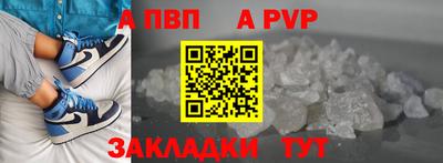 дмт Кингисепп