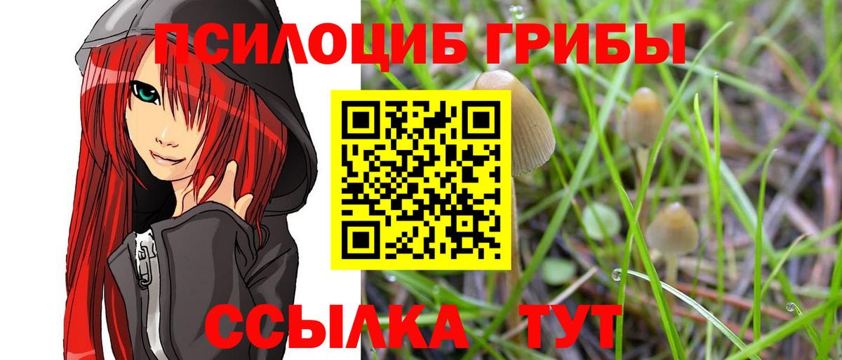 Псилоцибиновые грибы GOLDEN TEACHER Красный Сулин